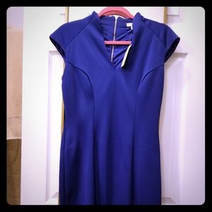 Dark blue scuba dress NWT